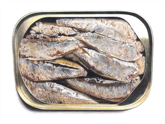 Sardines