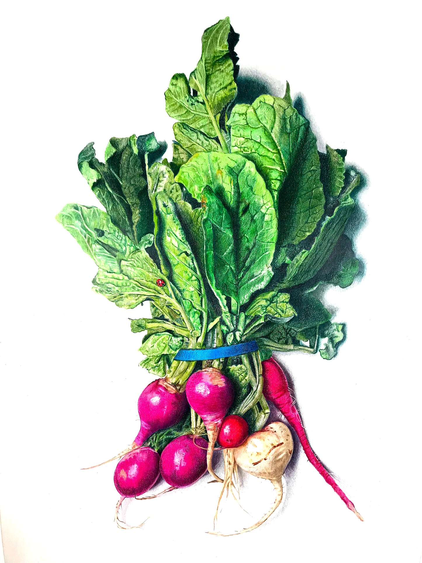 Radishes