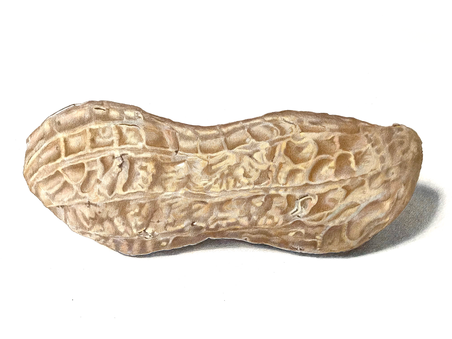 Peanut