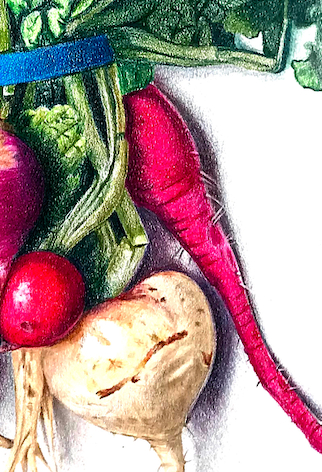 Radishes