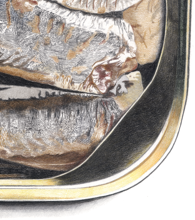Sardines