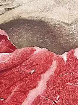 Steak